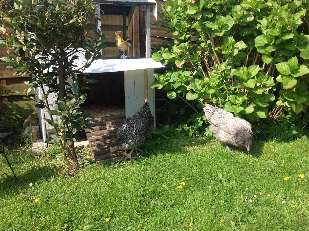 普乐花园住宿加早餐旅馆 Thiétreville 外观 照片